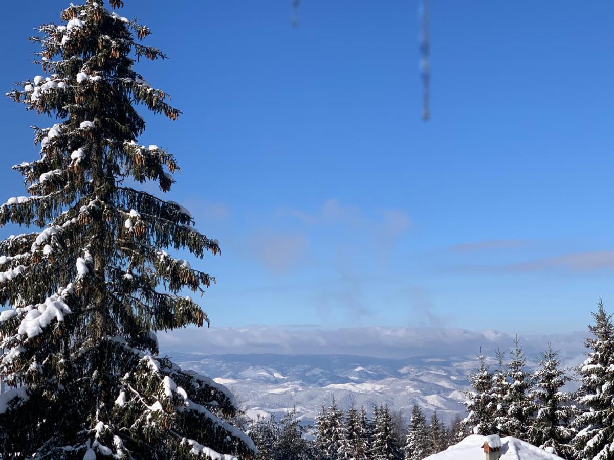 G&D Apartment Kopaonik Extérieur photo